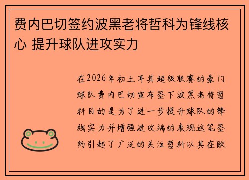费内巴切签约波黑老将哲科为锋线核心 提升球队进攻实力